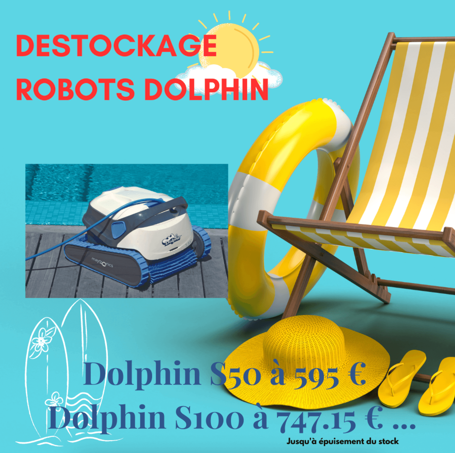 Promotion Destockage 2023 Dolphin